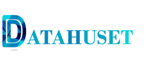 Datahuset-logo-datahus.se